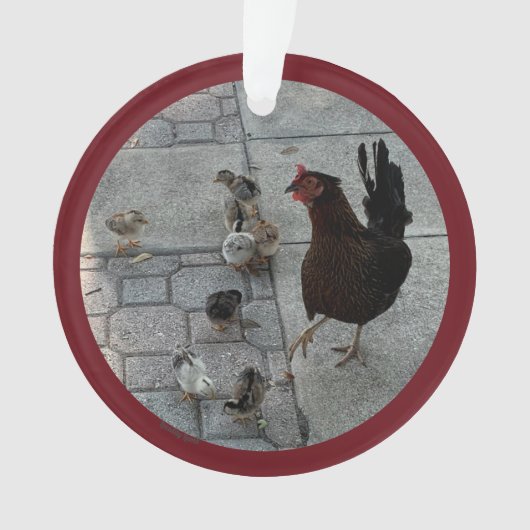 "Ik en alle kippen" Acrylkerstversiering Ornament (voorkant)