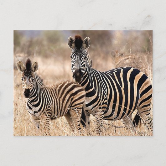 Ik en mama briefkaart (Voorkant)