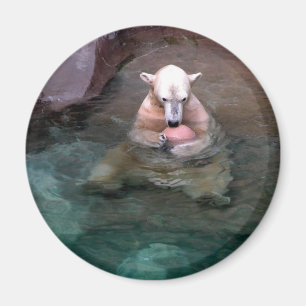 Ik en mijn bal magneet