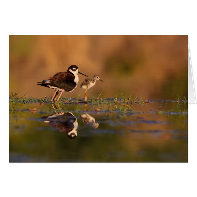 Ik en mijn meid (Voorkant Horizontaal)