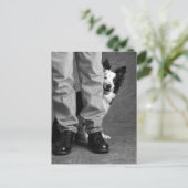 Ik en mijn schaduw - Collie Dog Briefkaart (Staand voorkant)