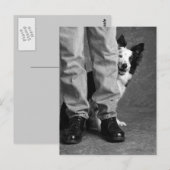 Ik en mijn schaduw - Collie Dog Briefkaart (Voorkant / Achterkant)