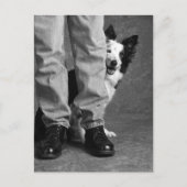 Ik en mijn schaduw - Collie Dog Briefkaart (Voorkant)