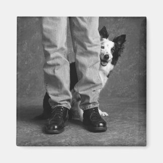 Ik en mijn schaduw - Collie Dog Magneet