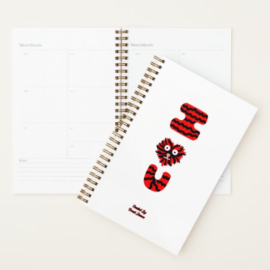 Ik Fuzzy U Kleine Planner (Display)