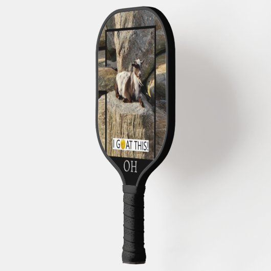 "Ik ga dit! Ohio Pickleball Paddle (Links)