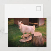 Ik ga hier naartoe briefkaart (Voorkant / Achterkant)