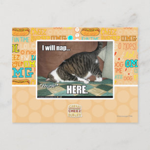 Ik ga hier slapen briefkaart