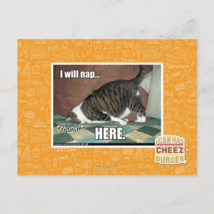 Ik ga hier slapen briefkaart