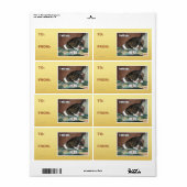 Ik ga hier slapen etiket (Full Sheet)