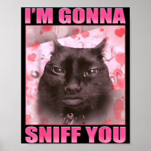 Ik ga je snuiven Grappige katten meme vrouwen mann Poster
