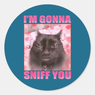 Ik ga je snuiven Grappige katten meme vrouwen mann Ronde Sticker