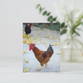 Ik ga mijn kant op briefkaart (Staand voorkant)