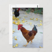 Ik ga mijn kant op briefkaart (Voorkant / Achterkant)