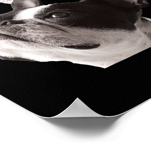 Ik ga naar Stuff Funny Cute French Bulldog Oders 4 Poster (Hoek)