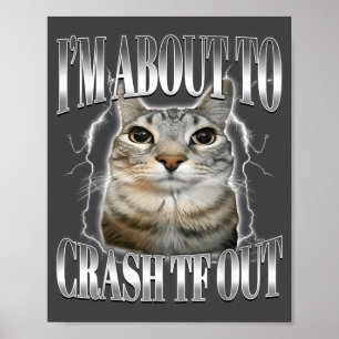 Ik ga zo crashen Grappige Starende Kat Brainrot Poster