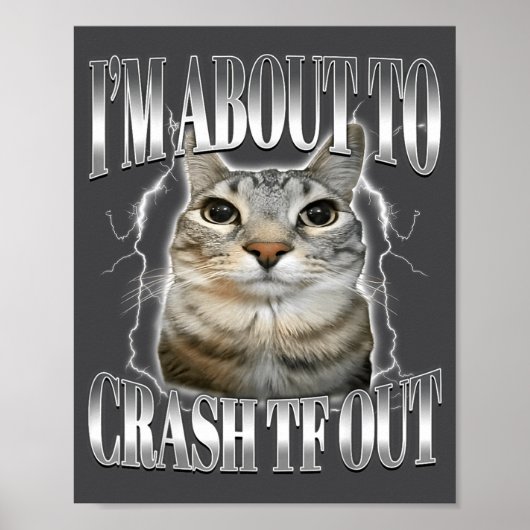 Ik ga zo crashen Grappige Starende Kat Brainrot  Poster (Voorkant)