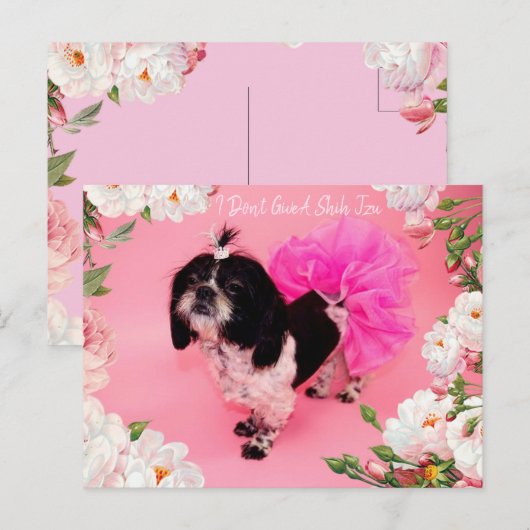 Ik geef geen sjiitische Tzu Briefkaart (Voorkant / Achterkant)