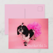 Ik geef geen sjiitische Tzu Briefkaart (Voorkant / Achterkant)