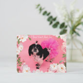 Ik geef geen sjiitische Tzu Briefkaart (Staand voorkant)