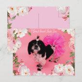 Ik geef geen sjiitische Tzu Briefkaart (Voorkant / Achterkant)