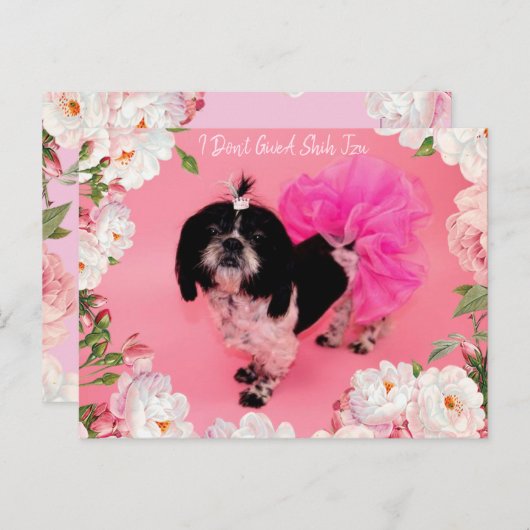 Ik geef geen sjiitische Tzu Briefkaart (Voorkant / Achterkant)