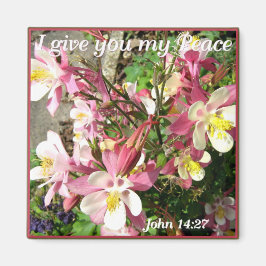 'Ik geef je mijn Vrede!' Magneet