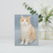 Ik geef op briefkaart (Staand voorkant)