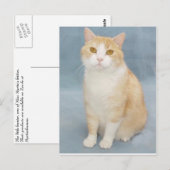 Ik geef op briefkaart (Voorkant / Achterkant)