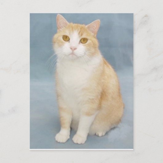 Ik geef op briefkaart (Voorkant)