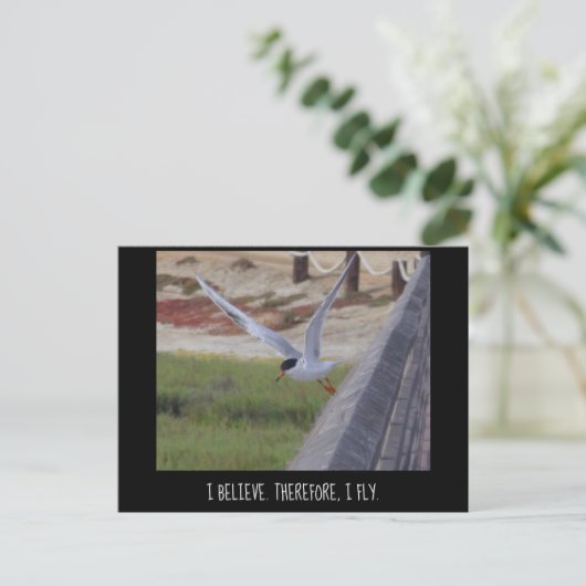 Ik geloof daarom dat ik gevlucht ben briefkaart (Staand voorkant)