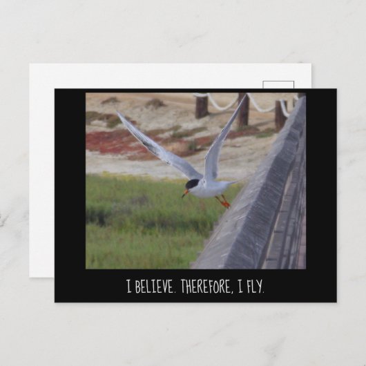 Ik geloof daarom dat ik gevlucht ben briefkaart (Voorkant / Achterkant)