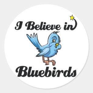ik geloof in blauwvogels ronde sticker