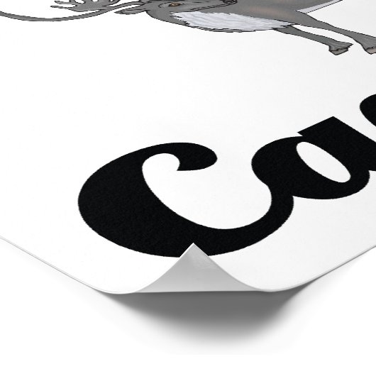 ik geloof in caribou poster (Hoek)