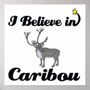 ik geloof in caribou poster