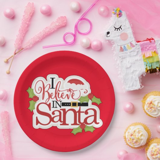 Ik geloof in de kerstman papieren bordje (Feest)