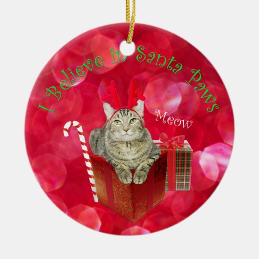 Ik geloof in Santa Paws Keramisch Ornament (Voorkant)