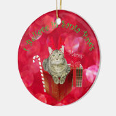 Ik geloof in Santa Paws Keramisch Ornament (Links)