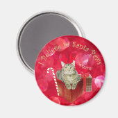 Ik geloof in Santa Paws Magneet (Voorkant / Achterkant)