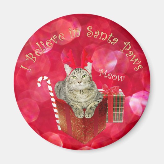 Ik geloof in Santa Paws Magneet (Voorkant)