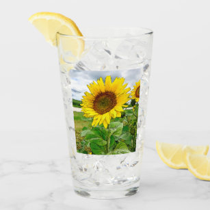 Ik geloof in tweezijdige zonnebloemen. glas
