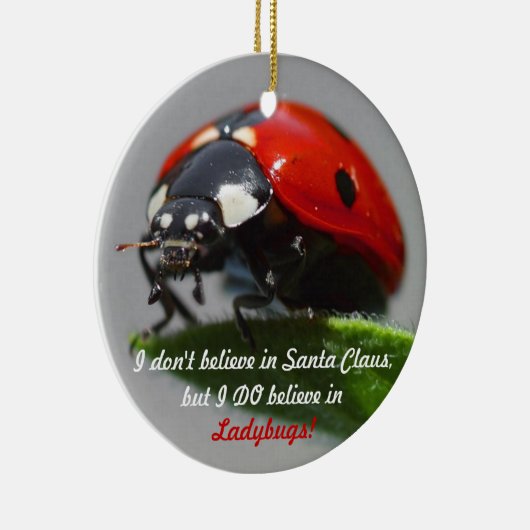 Ik geloof niet in Santa Claus - Ladybug Ornament (Rechts)