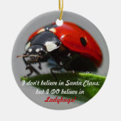 Ik geloof niet in Santa Claus - Ladybug Ornament (Voorkant)