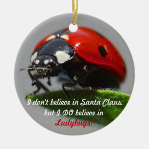 Ik geloof niet in Santa Claus - Ladybug Ornament