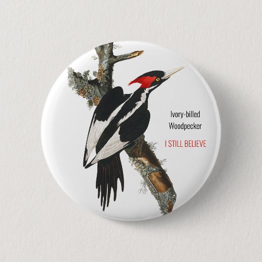 Ik geloof nog steeds dat Ivory-buikige Woodpecker, Ronde Button 5,7 Cm (Voorkant)