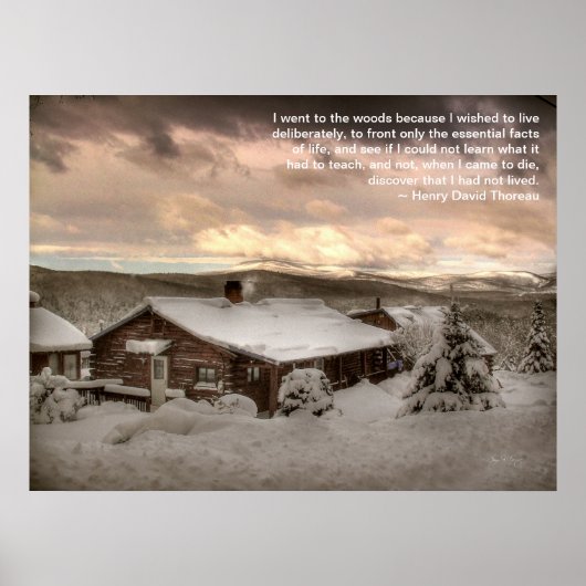 Ik ging naar het Bos Poster (Voorkant)