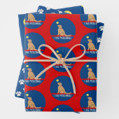 Ik graf Pickleball Golden Dog Gift Wrap Inpakpapier Vel (In situ)