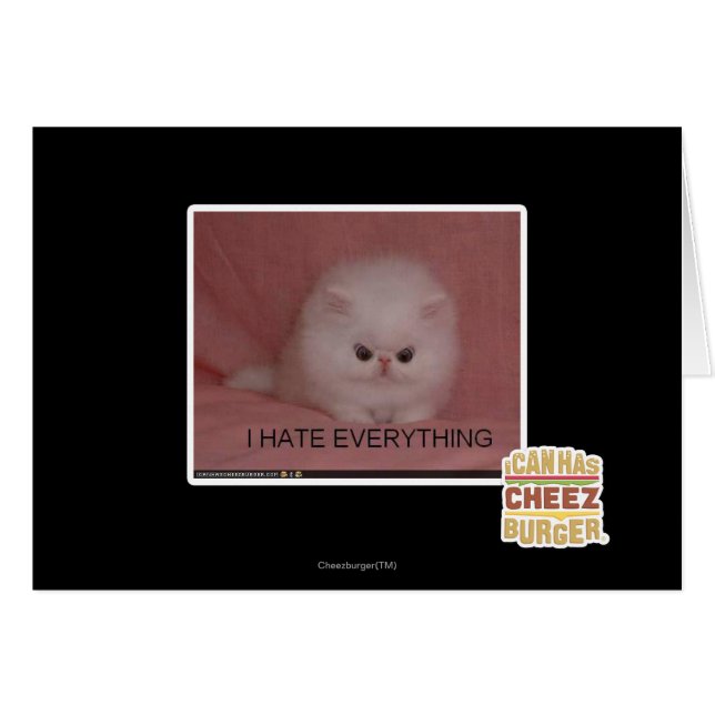 Ik haat alles (Voorkant Horizontaal)