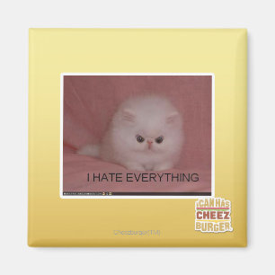 Ik haat alles magneet