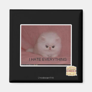 Ik haat alles magneet